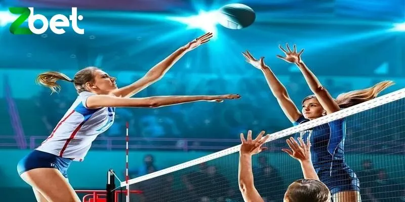 Khám phá luật chơi cá cược bóng chuyền toàn diện nhất